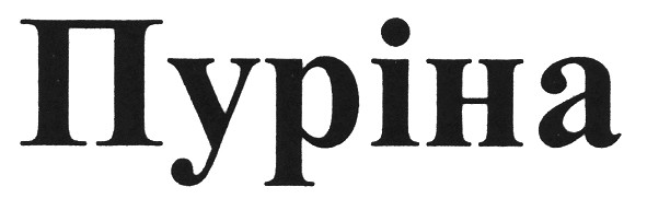 пуріна