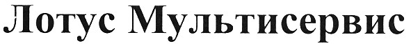 лотус мультисервис