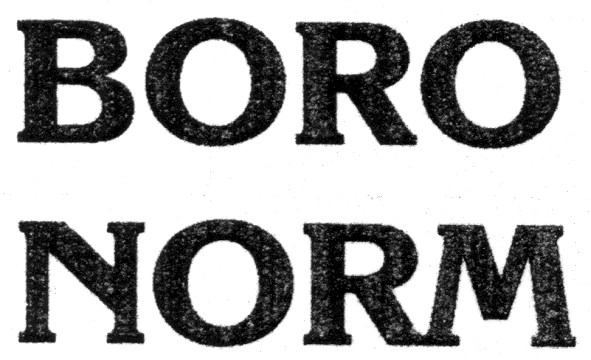 boro norm