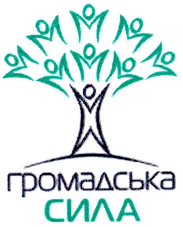 громадська сила