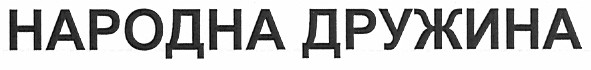 народна дружина