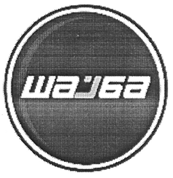 шайба