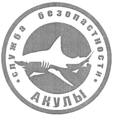 служба безопасности акулы