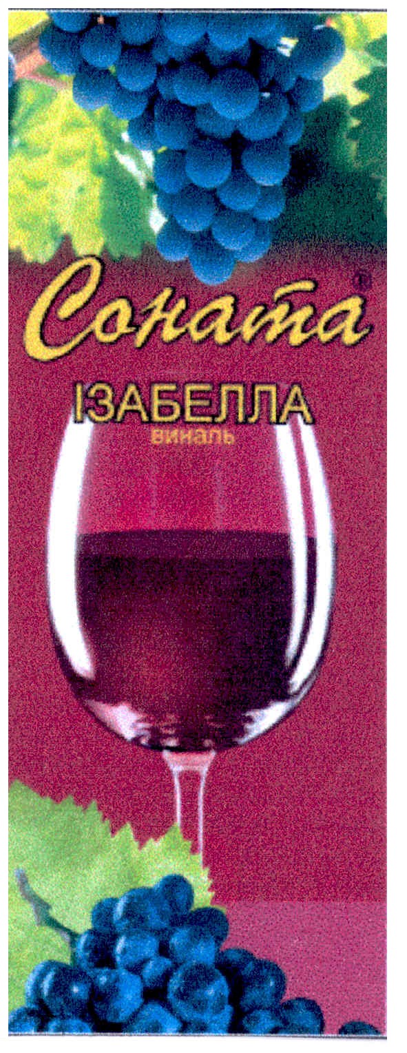 соната ізабелла виналь