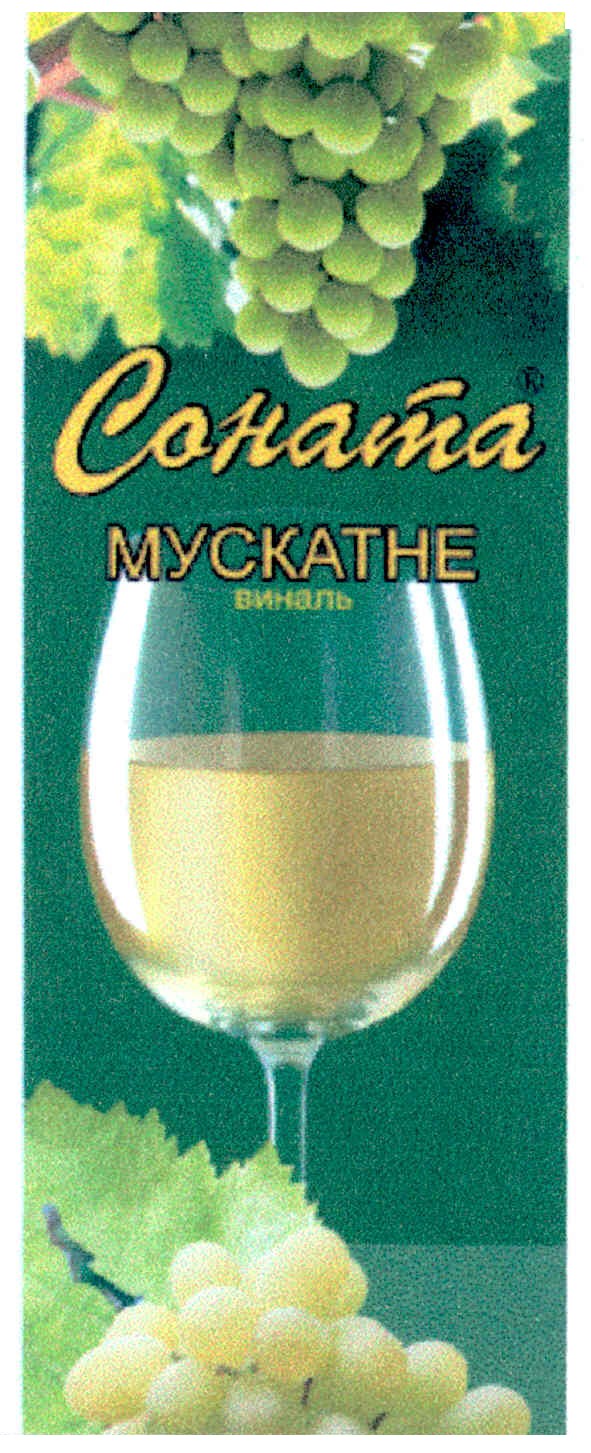 соната мускатне виналь