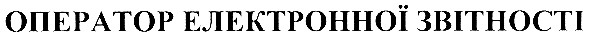 оператор електронної звітності