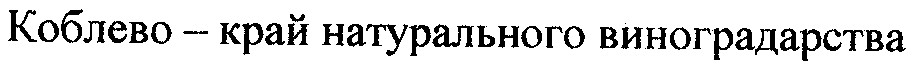 коблево - край натурального виноградарства