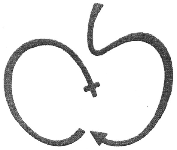 cs