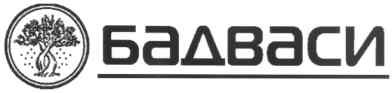 бадваси