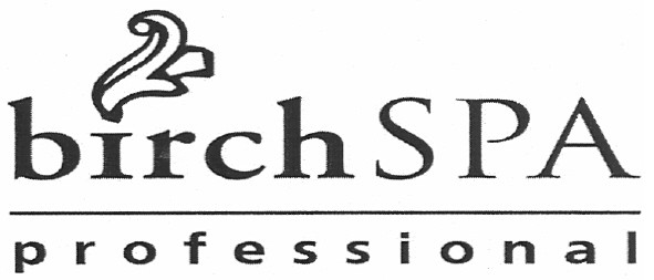 birch spa professional