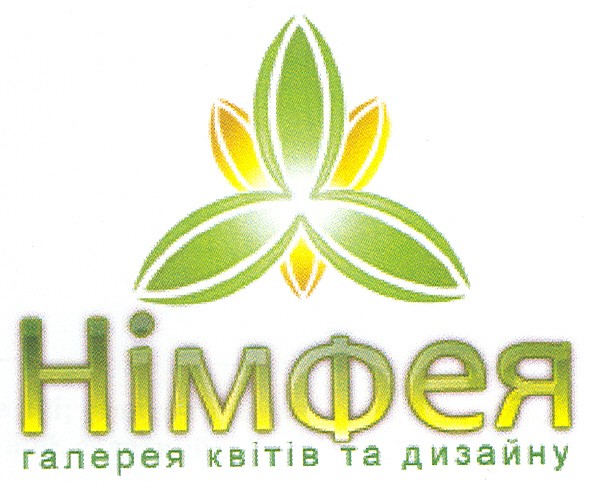 німфея галерея квітів та дизайну