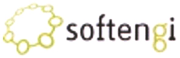 softengi