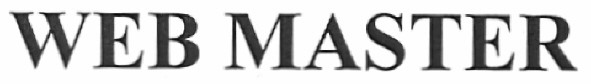 web master