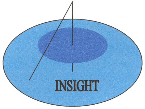 insight
