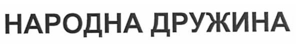 народна дружина