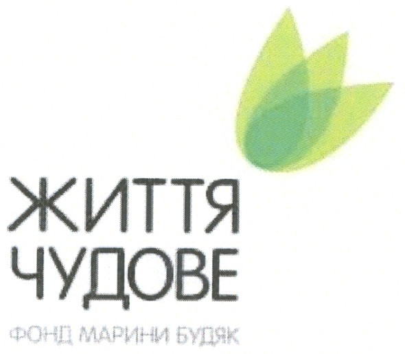 фонд марини будяк