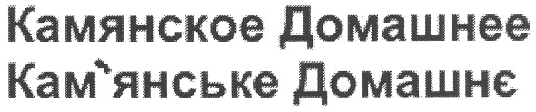 камянское домашнее