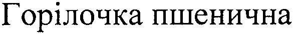 горілочка пшенична