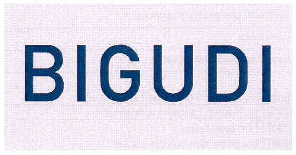 bigudi