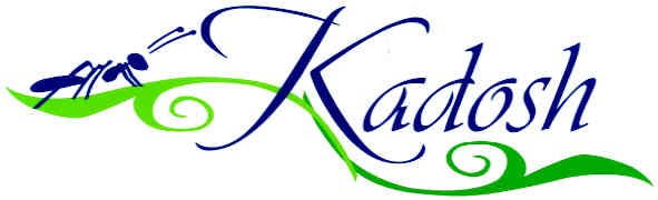kadosh
