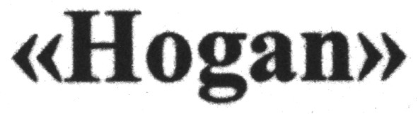hogan
