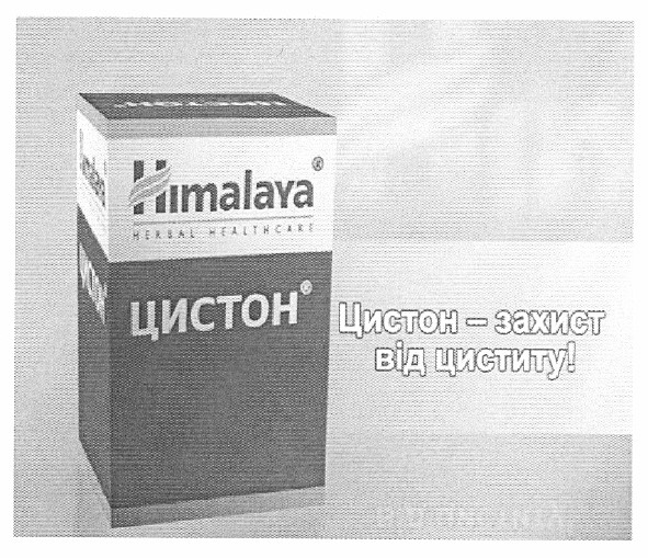 цистон - захист від циститу!