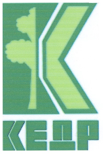 кедр