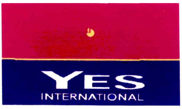 yes international