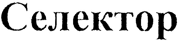 селектор
