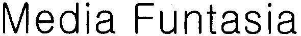 media funtasia