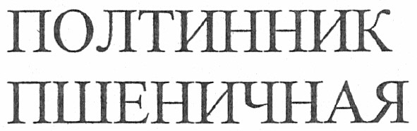 полтинник пшеничная