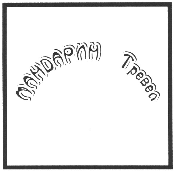 мандарин тревел