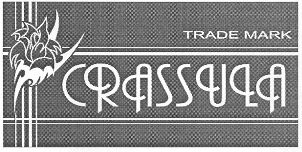 trade mark crassula