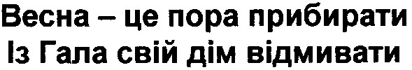 весна-це пора прибирати із гала свій дім відмивати