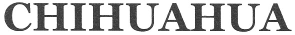 chihuahua