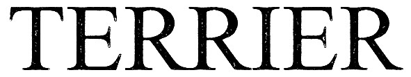 terrier