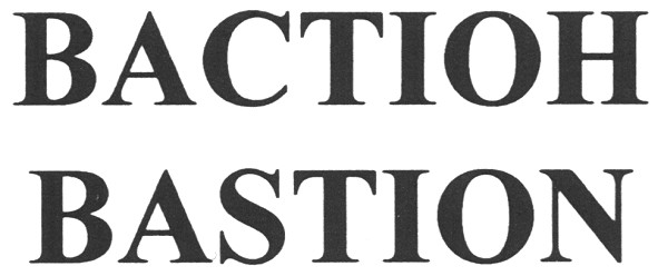 вастіон bastion