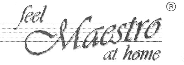 feel maestro at home