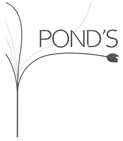 pond`s