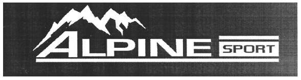 alpine sport