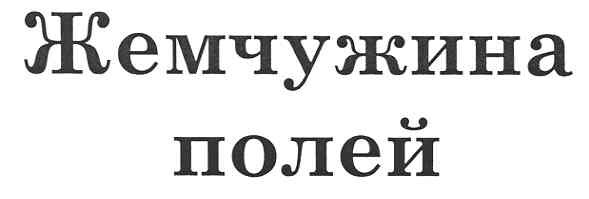 жемчужина полей