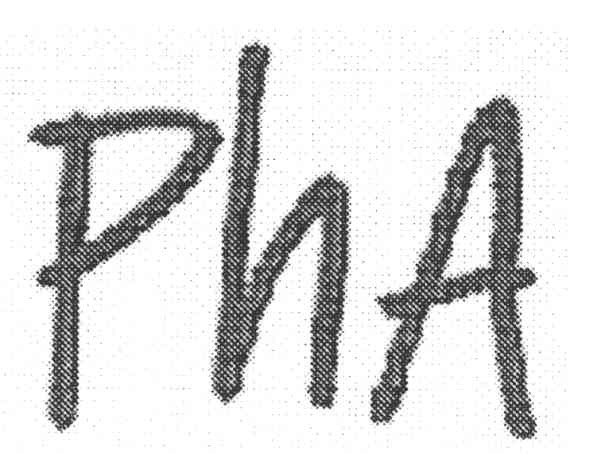 риа
