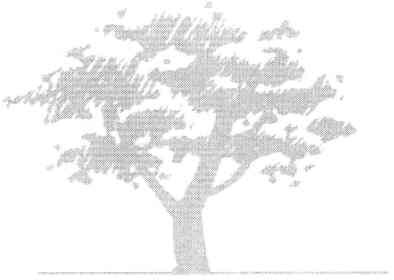 Фігуративна марка № m201004484