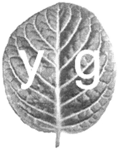 y9