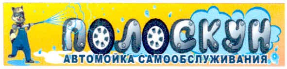 полоскун автомойка самообслуживания