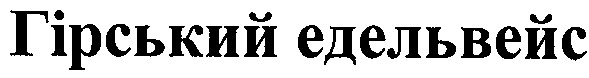 гірський едельвейс