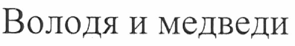 володя и медведи