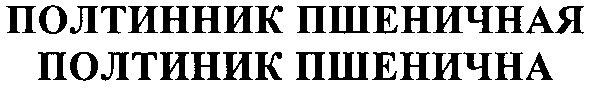 полтинник пшеничная полтиник пшенична