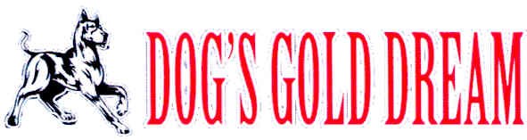 dog`s gold dream