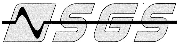 nsgs